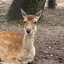 こうのプロフィール画像