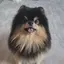あゆみのプロフィール画像