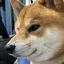 ちくわのプロフィール画像