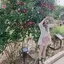 内藤のプロフィール画像