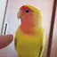 えりのプロフィール画像