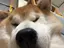 みさとのプロフィール画像