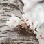 ゆゆのプロフィール画像