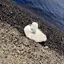 たくのプロフィール画像