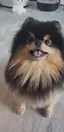麻衣のプロフィール画像