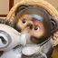 椎茸のプロフィール画像