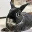 TTのプロフィール画像