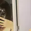 もものプロフィール画像