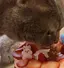 ゆかまるのプロフィール画像