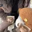 うさぎのプロフィール画像