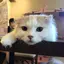MIRINのプロフィール画像