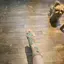 ミユウのプロフィール画像