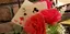 あやりのプロフィール画像