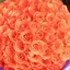 ちのんのプロフィール画像
