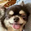 れいかのプロフィール画像