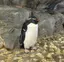 mのプロフィール画像