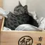 みいもんのプロフィール画像