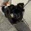 暖のプロフィール画像