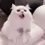 りおのプロフィール画像