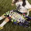 ラのプロフィール画像