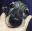 ごんたのプロフィール画像