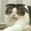 Eのプロフィール画像