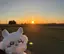 りさのプロフィール画像