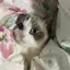 やましたのプロフィール画像