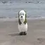 あちゃんのプロフィール画像