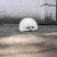 シロのプロフィール画像