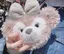 ピのプロフィール画像