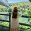 みおのプロフィール画像