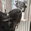 ちゃだぬきのプロフィール画像