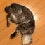ふじたのプロフィール画像
