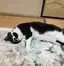 雅子のプロフィール画像