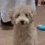ソラのプロフィール画像