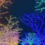 Rのプロフィール画像