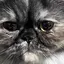 あーのプロフィール画像