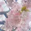 果奈のプロフィール画像