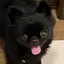 ももだのプロフィール画像