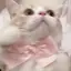 じゅりのプロフィール画像