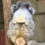 ☺︎のプロフィール画像