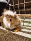 まりーのプロフィール画像