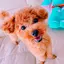ゆきのプロフィール画像