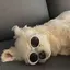 naのプロフィール画像