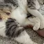 ずみのプロフィール画像