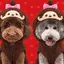 ちゃまるのプロフィール画像