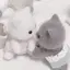 わのプロフィール画像