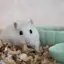 さやかのプロフィール画像