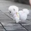 yumiのプロフィール画像